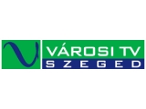 VTV Szeged logo