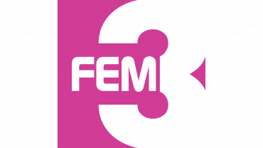 FEM3 logo